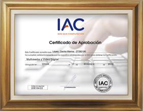 IAC Multimedia
