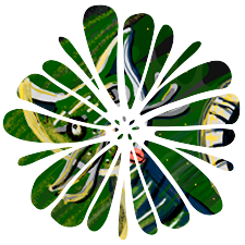 El Gato Verde
